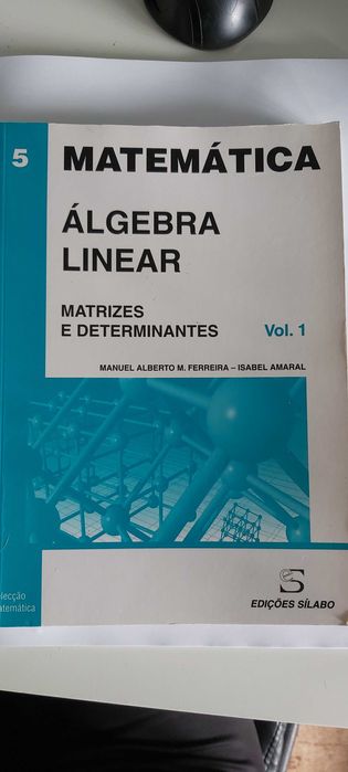 Matemática matrizes e determinantes