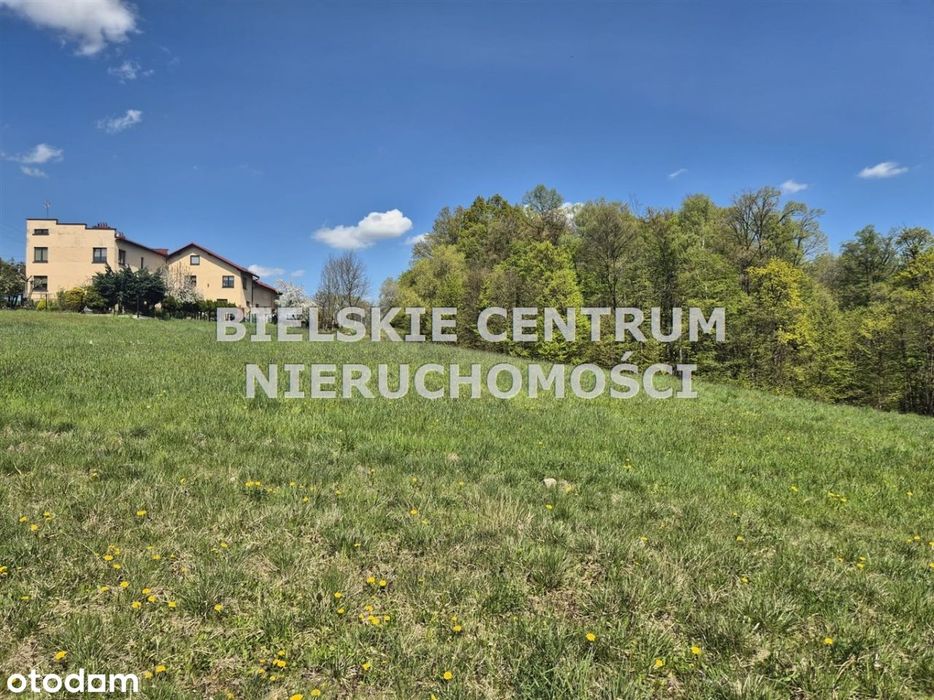 Działka, Mazańcowice