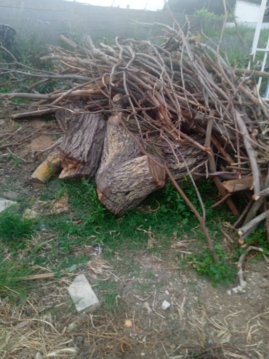 Lenha de eucalipto, oliveira,pinho