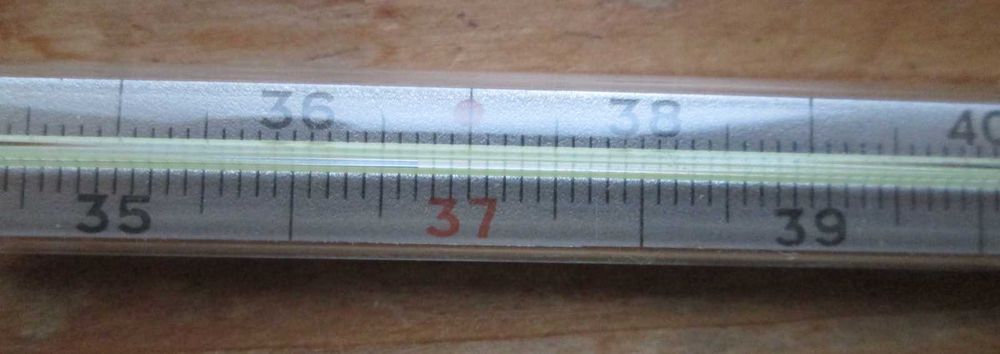 Термометр медицинский Normalglas