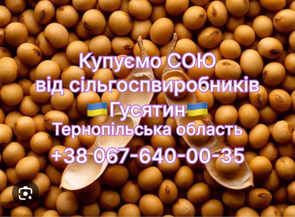 Соєва Макуха та Шрот