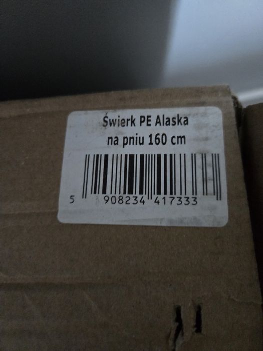 Choinka na pniu świerk alaska