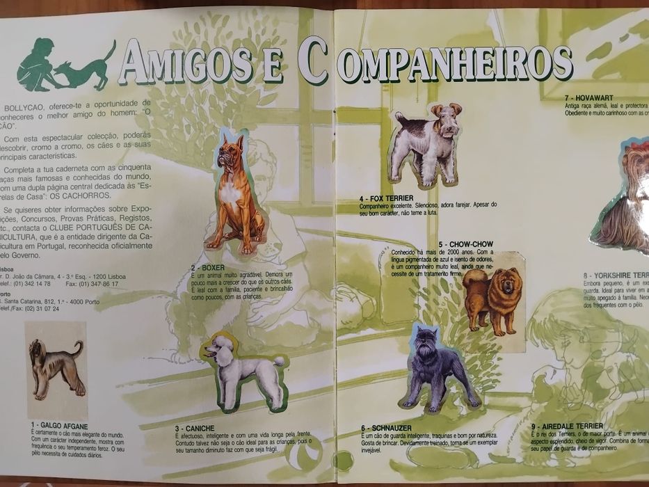 Revista bollycao