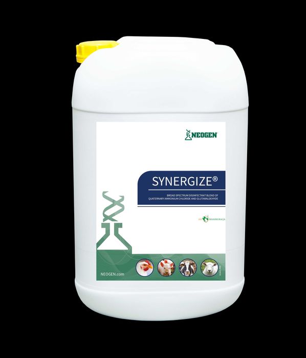 Synergize 25l – płyn do dezynfekcji