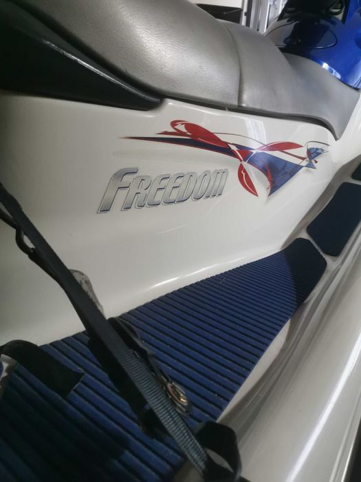 Mota de água Polaris Freedom