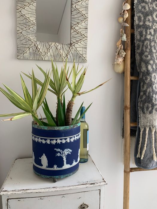 Cache pot floreira com planta