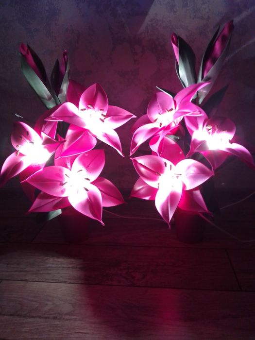 Лілія-світильник