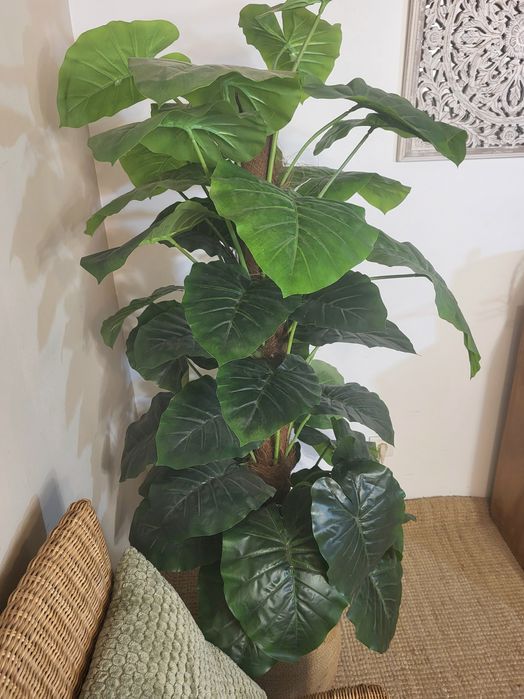 planta artificial, grande, decoração