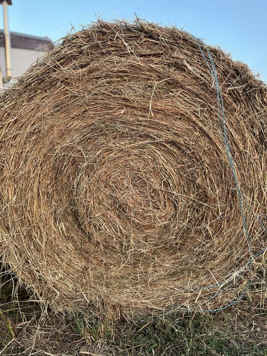 Vendo palha de boa qualidade