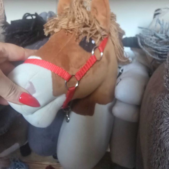 Hobby horse plus stajnia