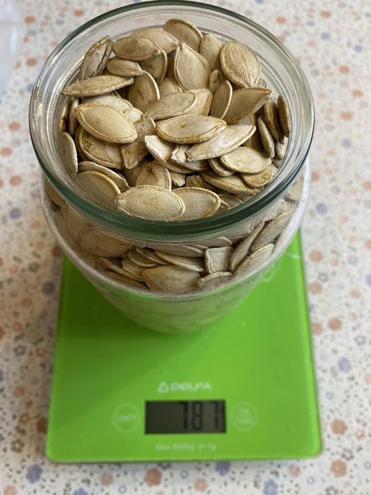 Продам насіння семечку