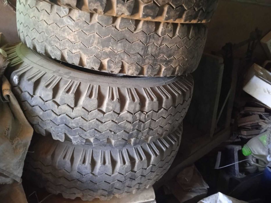 Скати не потріскані