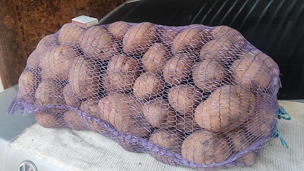 Продам картоплю!