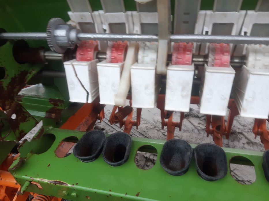 Ścieżki amazone d8 lub 302