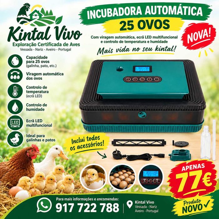 Chocadeira Automática 24 ovos