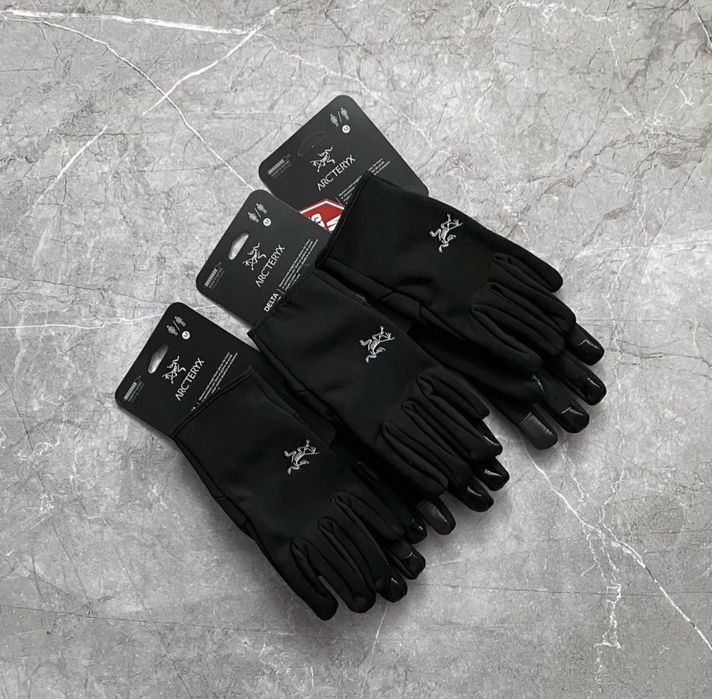 Флисовые перчатки arcteryx x the north face