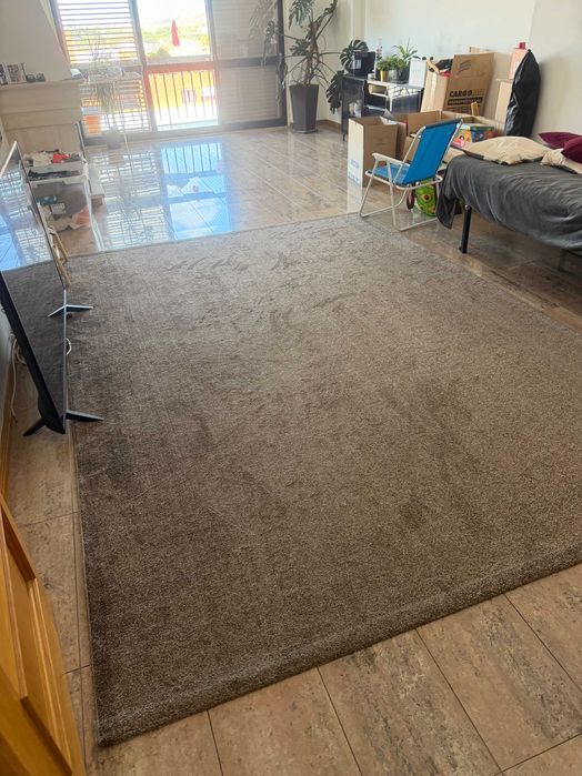 Tapete Verona Light Brown 240x340 cm