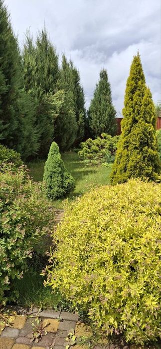 Продам будинок с. Бузова  Житомирська траса. Любимівка. Гореничі Без %