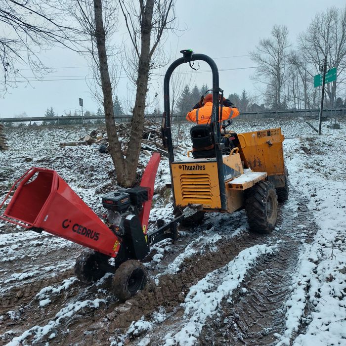 Profesjonalna wycinka drzew i porządkowanie terenu