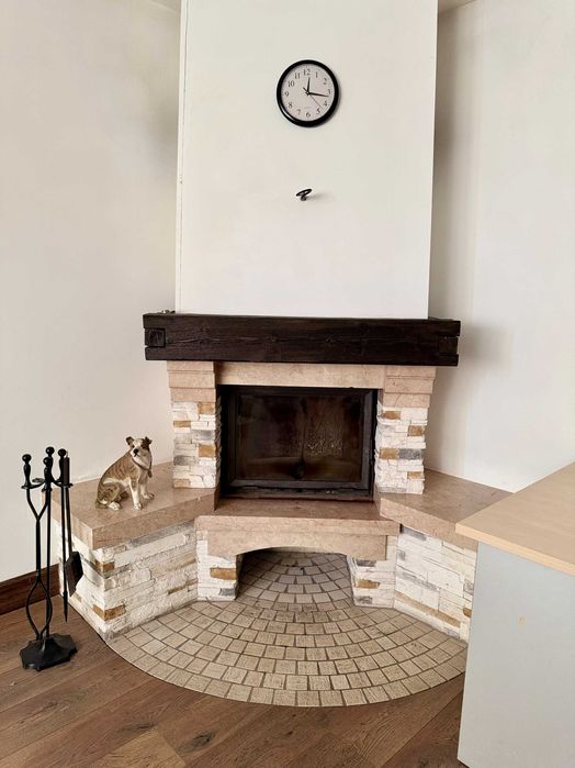 Будинок на березі ставка у Високому