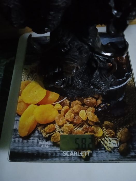 Коллекционный подарочный набор «Сафари»: Статуэтка + 5 стопок (ЮАР)