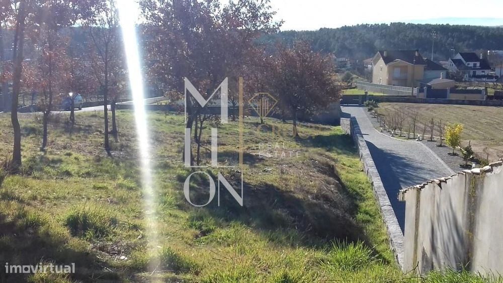 Rustic land located in the parish of Ferreira de Aves, municipality of