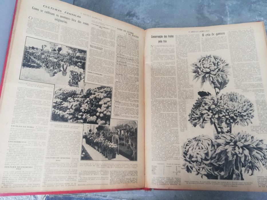 Livro O Século Agrícola, 1913. 1914