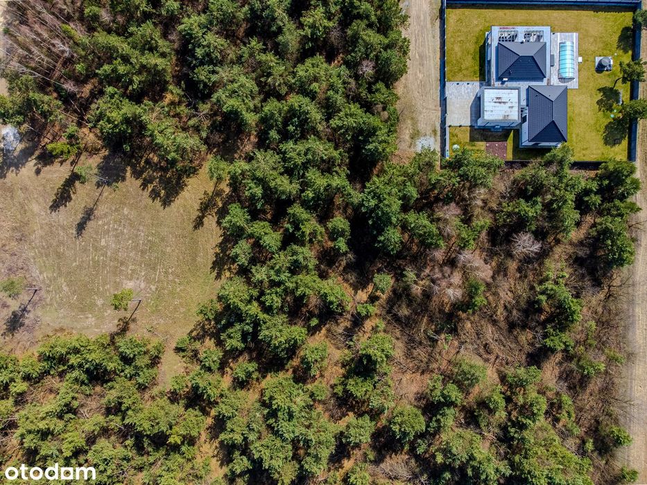 Na sprzedaż działka budowlana 1604 m², MPZP, Ostrowina, gm. Oleśnica