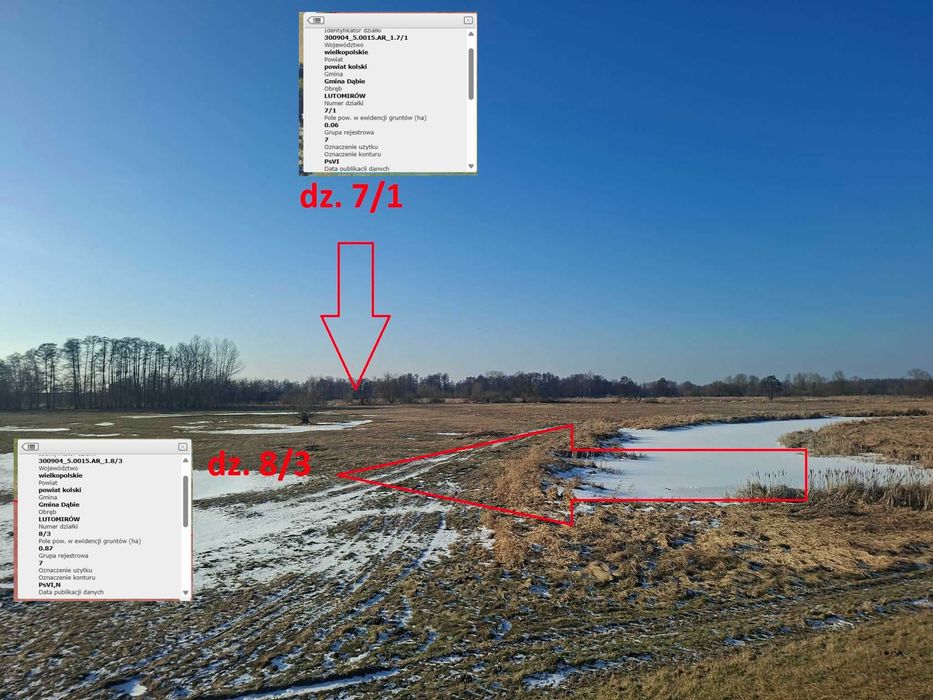 Sprzedam grunty rolne 3,15ha w miejscowości Gaj i Chełmno, gmina Dąbie - Widok 6