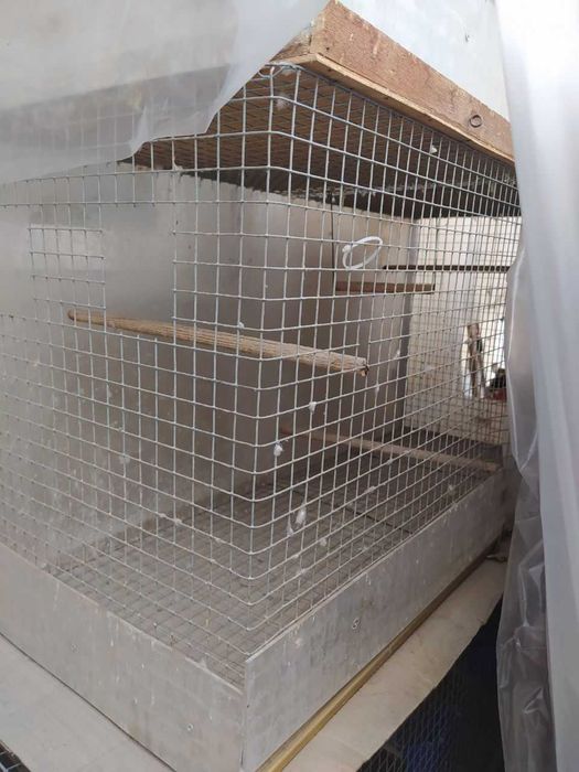 Дешево Клетки и домики для разведения попугаев, птицы