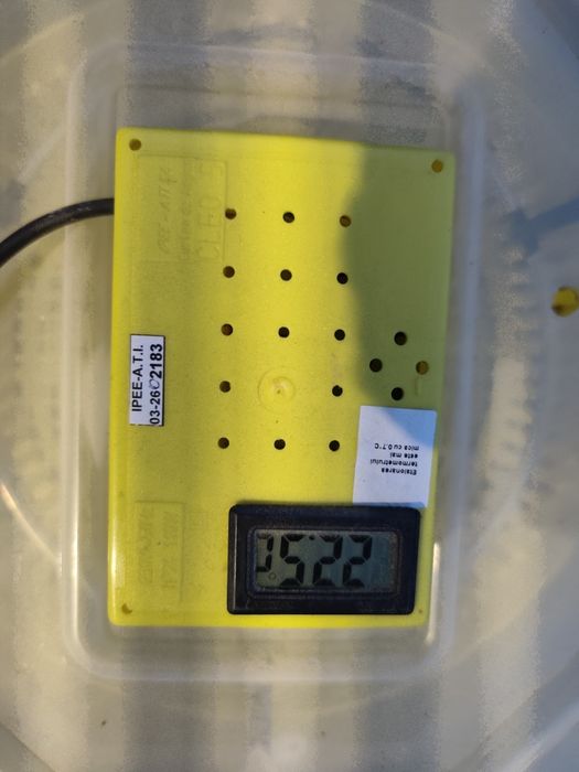 Inkubator CLEO 5