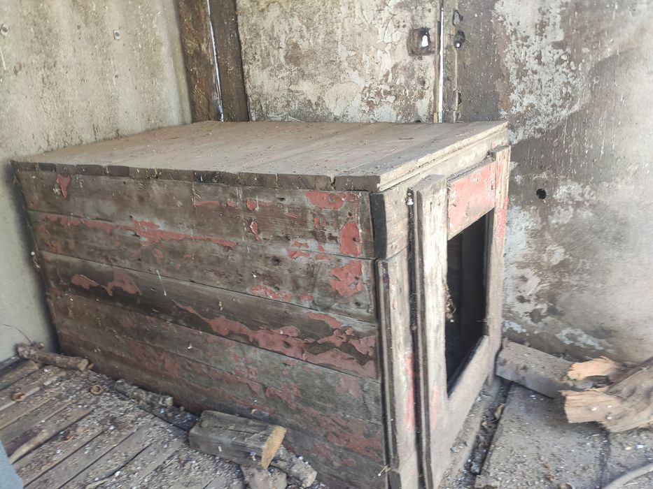 Огромная будка для собак