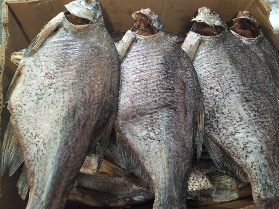 Сушена риба (лящ,карась,густера та інша)