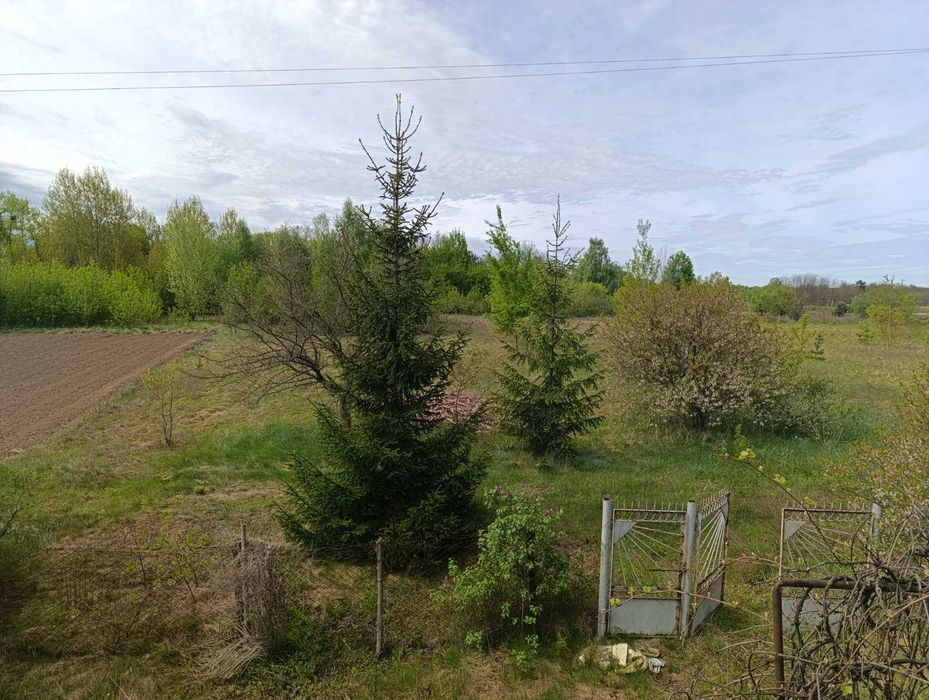 Дачний будинок для постійного проживання !