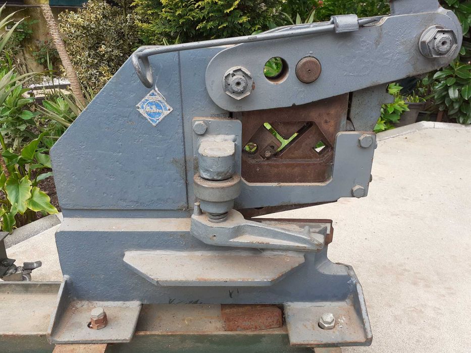 Galhetina ou tesoura de ferro