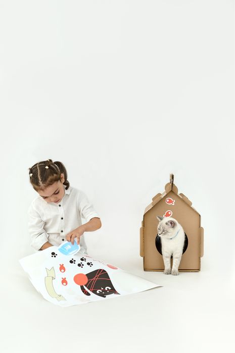 Будинок для кота хатка домик