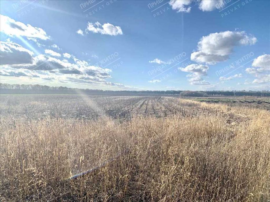 Будинок із земельною ділянкою 1 га, неподалік від міста Решетилівка