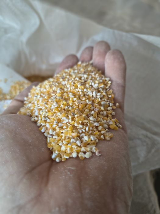 Продам крупу кукурудзяну та пшеничну