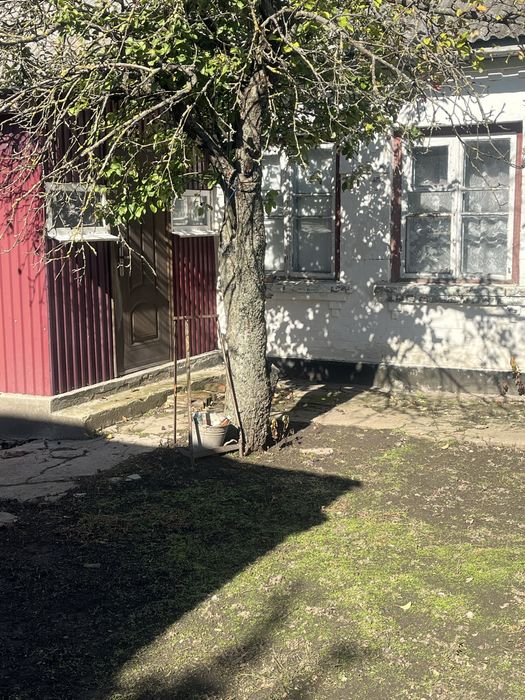 Продаєть житловий будинок в с. Синьки