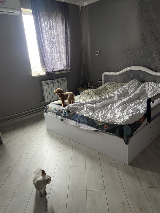 Николаев! Перетримка тварин, гризунів. Передержка. Зооготель.