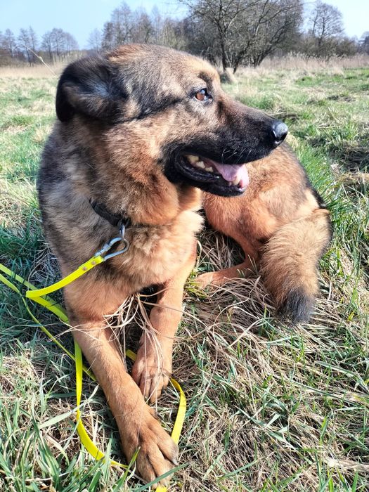 Astro czeka na odpowiedzialnego człowieka