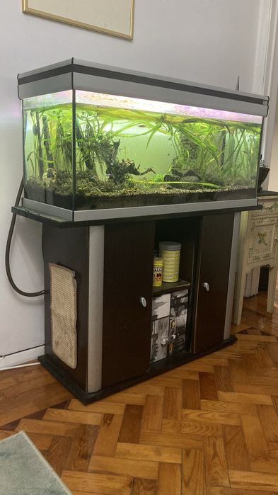Aquario 200 litros