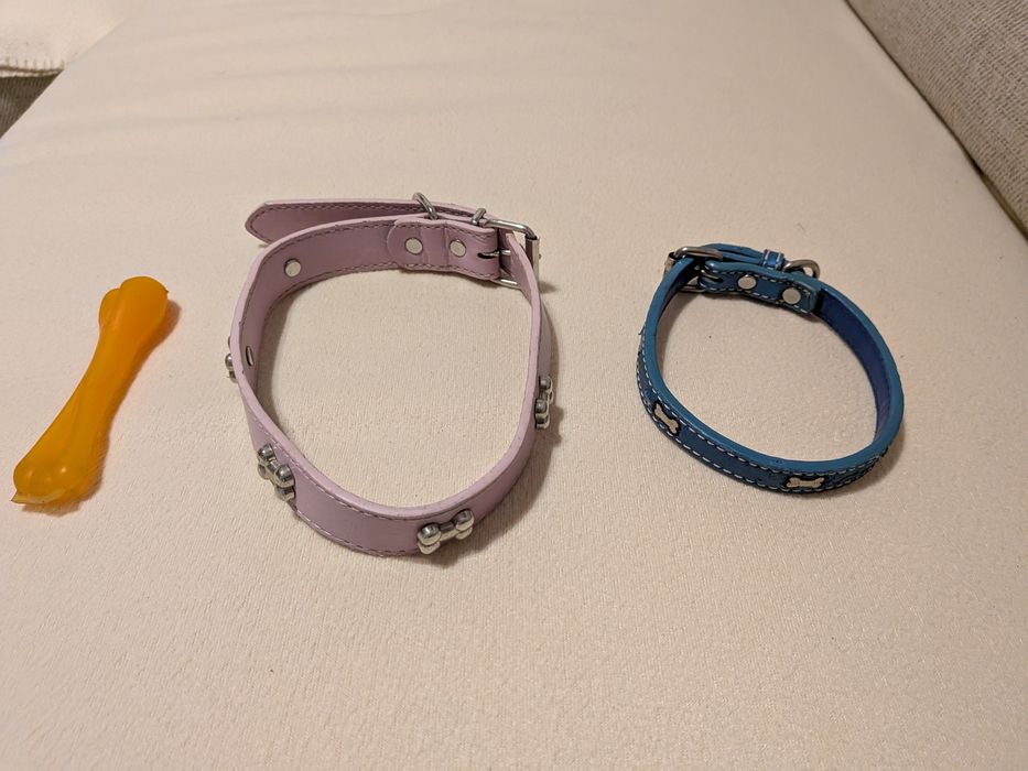 Obroże i gryzak dla psa