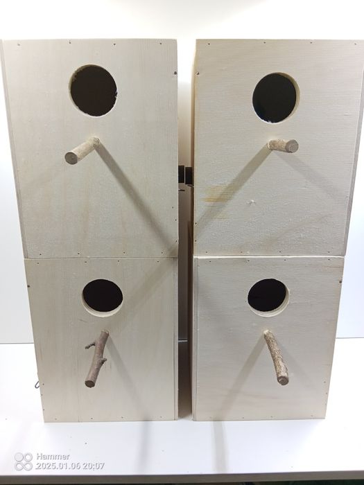 Budki lęgowe dla papug i dzikich ptaków