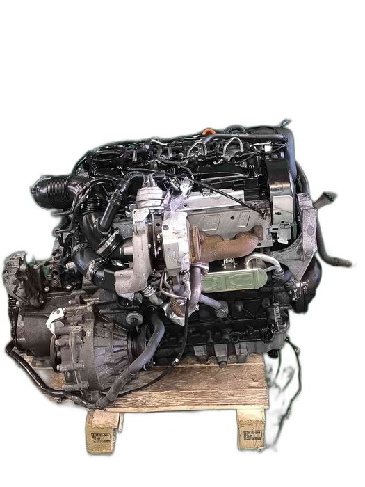 Motor Completo VW GOLF VI 1.6 TDI (77 kW / 105 cv) [02.2009 - 11.2012] CAYP (OEM)