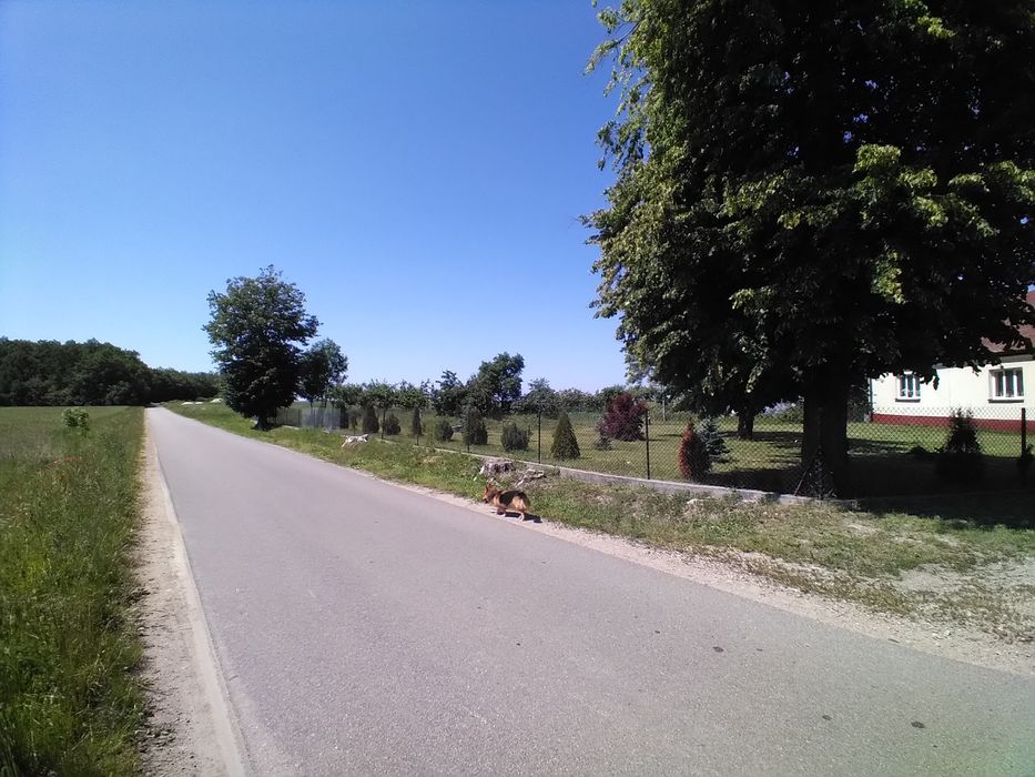 Siedlisko na sprzedaż