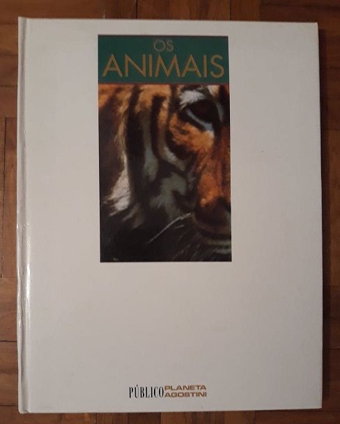 Edições do jornal Público