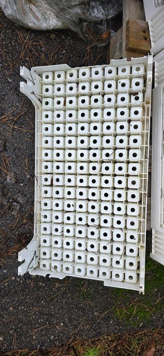 Donice multiplaty doniczkopalety wielodoniczka do wysiewu nasion