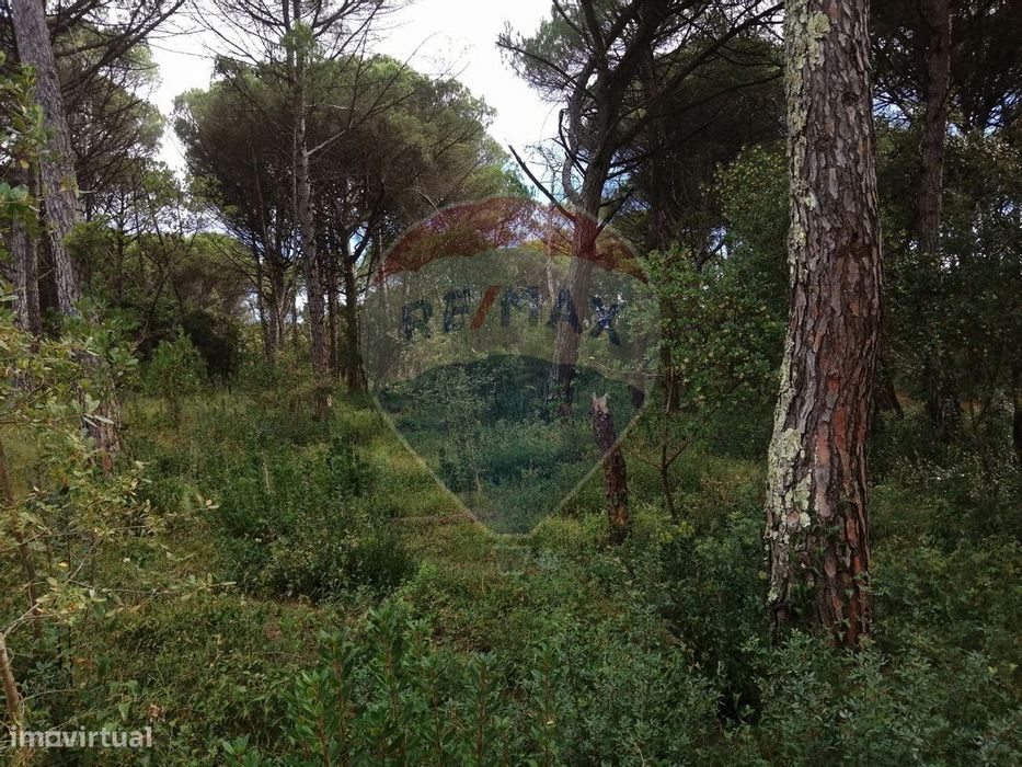Terreno  para venda