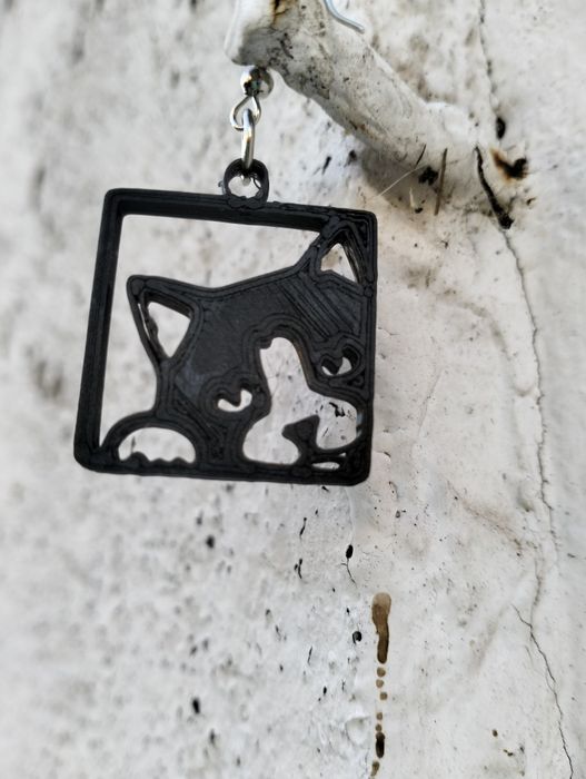 Brincos gato a espreitar